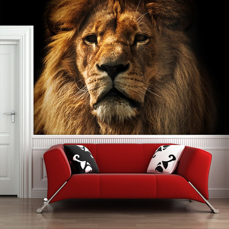 Tapeta Lev: 336x220 cm