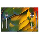 Prostírání Barevné peří: 40x30cm