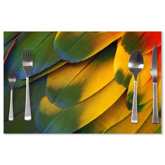 Prostírání Barevné peří: 40x30cm