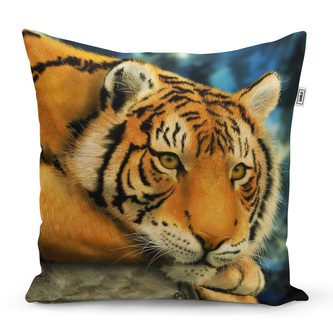 Polštář Tygr: 40x40 cm