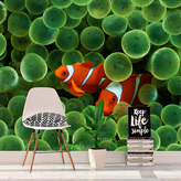 Tapeta Klaun očkatý: 336x220 cm