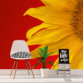 Tapeta Slunečnice: 125x75 cm