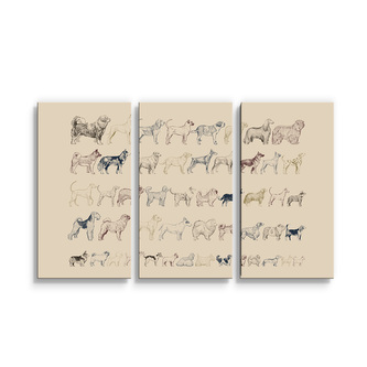 Obraz - 3-dílný Psí plemena: 120x80 cm
