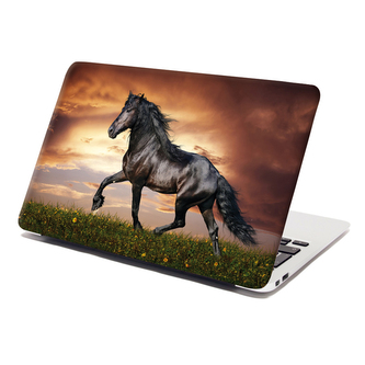 Samolepka na notebook Friský kůň: 29x20 cm