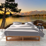 Tapeta Strom u jezera: 336x220 cm