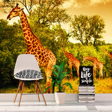 Tapeta Žirafy: 336x220 cm