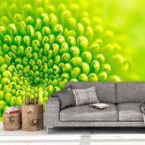 Tapeta Detail květiny: 125x75 cm