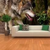 Tapeta Vlk: 336x220 cm