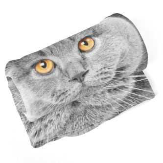 Deka Kočičí pohled: 150x120 cm