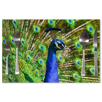 Prostírání Páv: 40x30cm