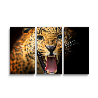 Obraz - 3-dílný Gepard 2: 120x80 cm