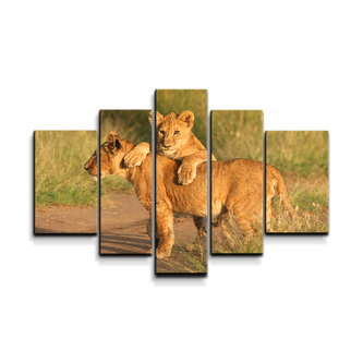 Obraz - 5-dílný Lvíčata: 125x90 cm