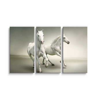 Obraz - 3-dílný Dva bílí koně: 120x80 cm