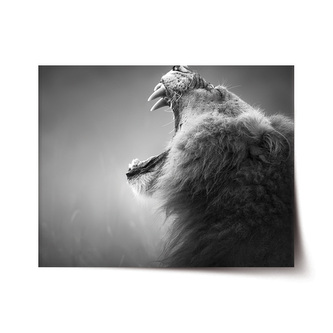 Plakát Řvoucí lev: 120x80 cm