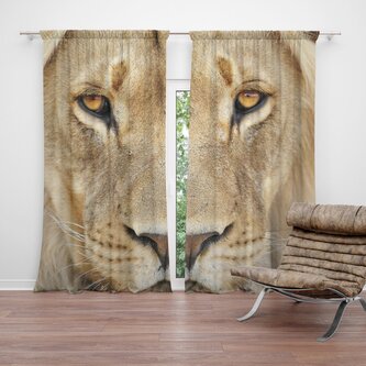 Závěs Pohled lvice: 2ks 140x250cm