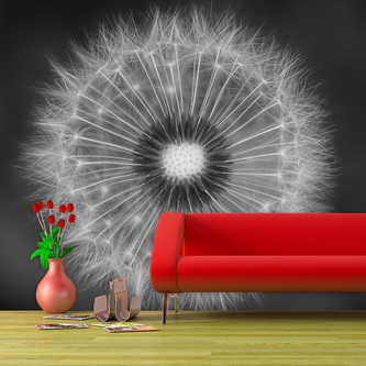 Tapeta Černobílá pampeliška: 336x220 cm