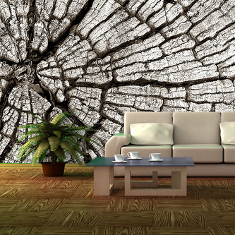 Tapeta Dřevo: 125x75 cm