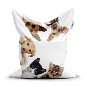 Sedací vak Štěňátka a koťátka: 150x100 cm Sedací vak Štěňátka a koťátka: 150x100 cm