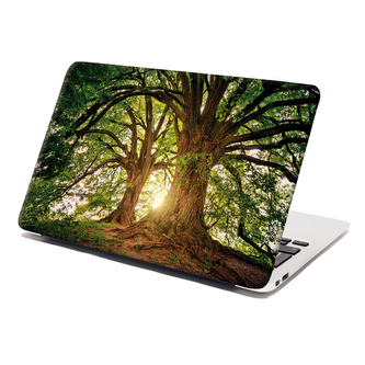 Samolepka na notebook Stromy: 38x26 cm