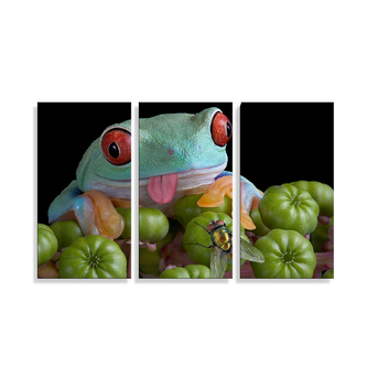 Obraz - 3-dílný Veselá žába: 120x80 cm