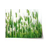 Plakát Klasy: 120x80 cm