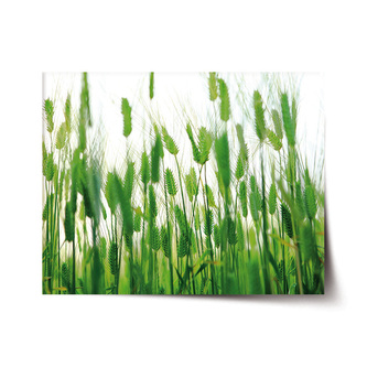 Plakát Klasy: 120x80 cm