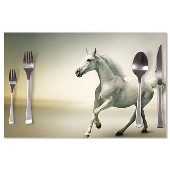 Prostírání Bílý kůň 2: 40x30cm