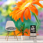 Tapeta Oranžová gerbera: 208x125 cm