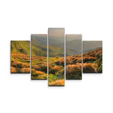 Obraz - 5-dílný Travnatá krajina: 125x90 cm