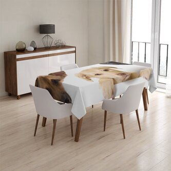 Ubrus Štěňátka a koťátka: 130x170 cm