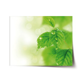 Plakát Listy 3: 120x80 cm