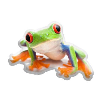 3D polštář ve tvaru Žába