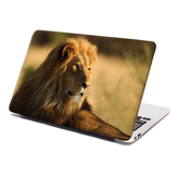 Samolepka na notebook Lev 3: 29x20 cm