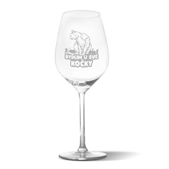 Sklenička na víno Bydlím u své kočky: 49 cl
