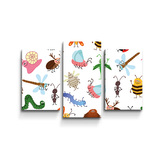 Obraz - 3-dílný Hmyz: 75x50 cm