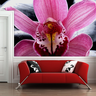 Tapeta Růžová orchidea: 208x125 cm Tapeta Růžová orchidea: 208x125 cm