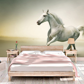 Tapeta Bílý kůň 2: 125x75 cm