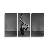 Obraz - 3-dílný Pole dancer: 120x80 cm