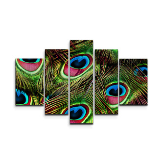 Obraz - 5-dílný Paví peří: 125x90 cm