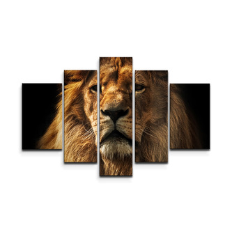 Obraz - 5-dílný Lev: 125x90 cm