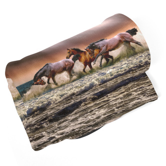 Deka Koně ve vodě: 190x140 cm