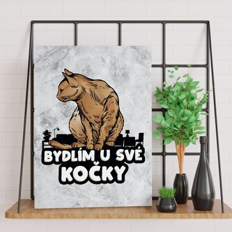 Dárková cedulka Bydlím u své kočky: 30x40 cm