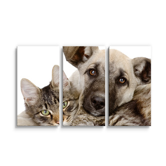 Obraz - 3-dílný Kočička a štěňátko: 120x80 cm
