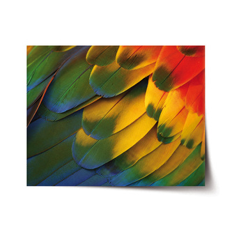 Plakát Barevné peří: 90x60 cm