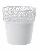 květ. NATURO DNAT175 bílý S449