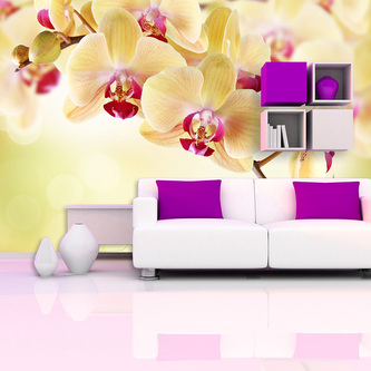 Tapeta Orchidej 2: 208x125 cm