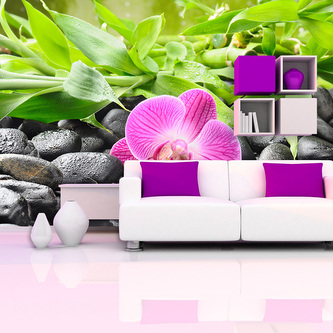 Tapeta Růžová orchidej: 336x220 cm Tapeta Růžová orchidej: 336x220 cm