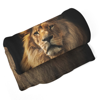 Deka Lev: 190x140 cm