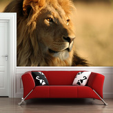 Tapeta Lev 3: 208x125 cm