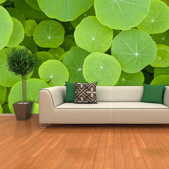 Tapeta Listy leknínu: 125x75 cm